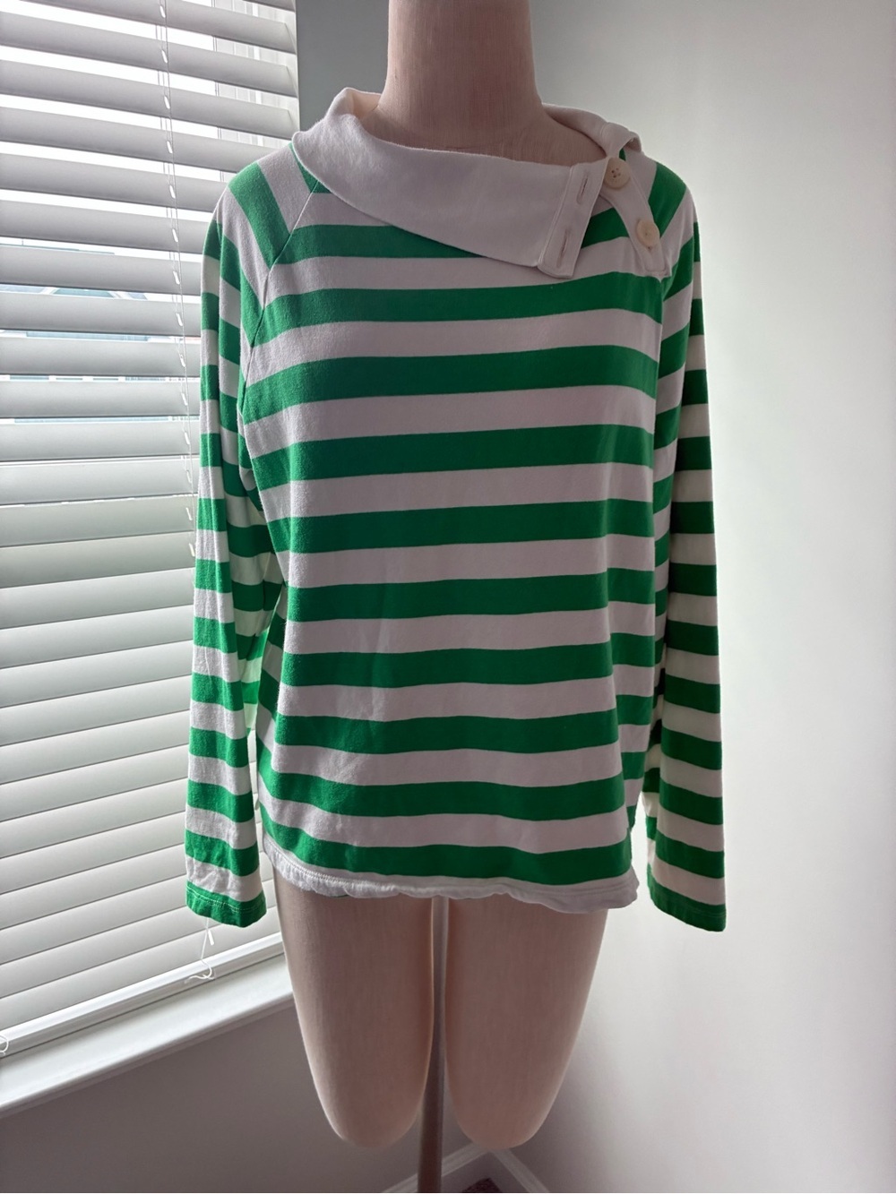 J. Crew Women's Striped Wide Button Collar Green Sweatshirt